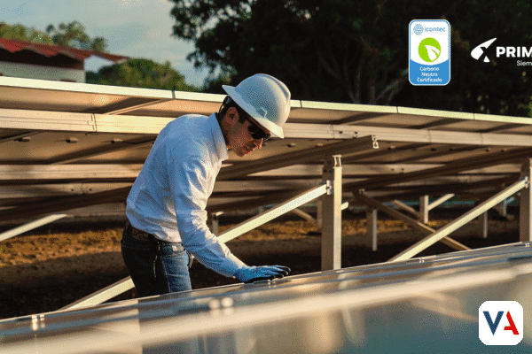 Primax: Liderazgo y compromiso con la carbono neutralidad en Colombia carbono neutralidad