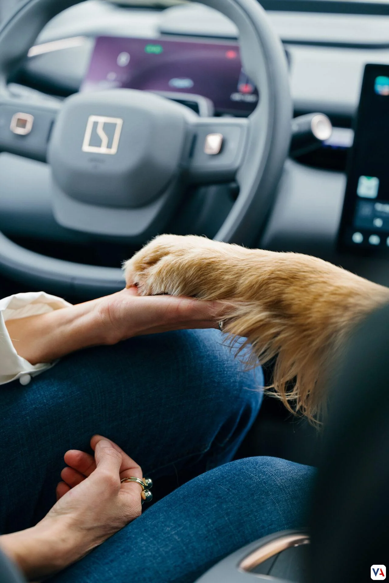 Modo Mascota en Vehículos: Un Análisis a Fondo de su Impacto en Colombia 6 Modo Mascota