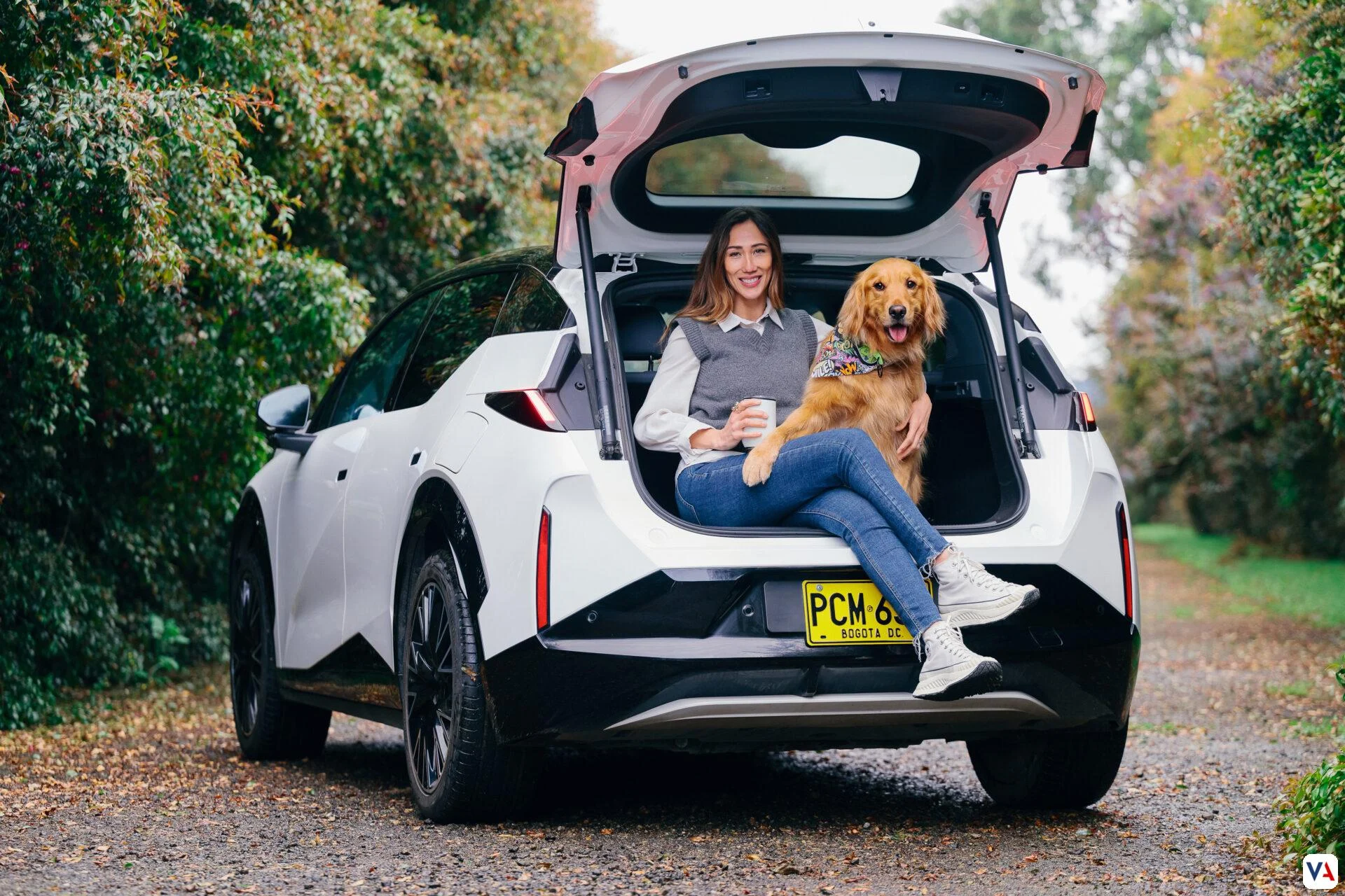 Modo Mascota en Vehículos: Un Análisis a Fondo de su Impacto en Colombia 2 Modo Mascota