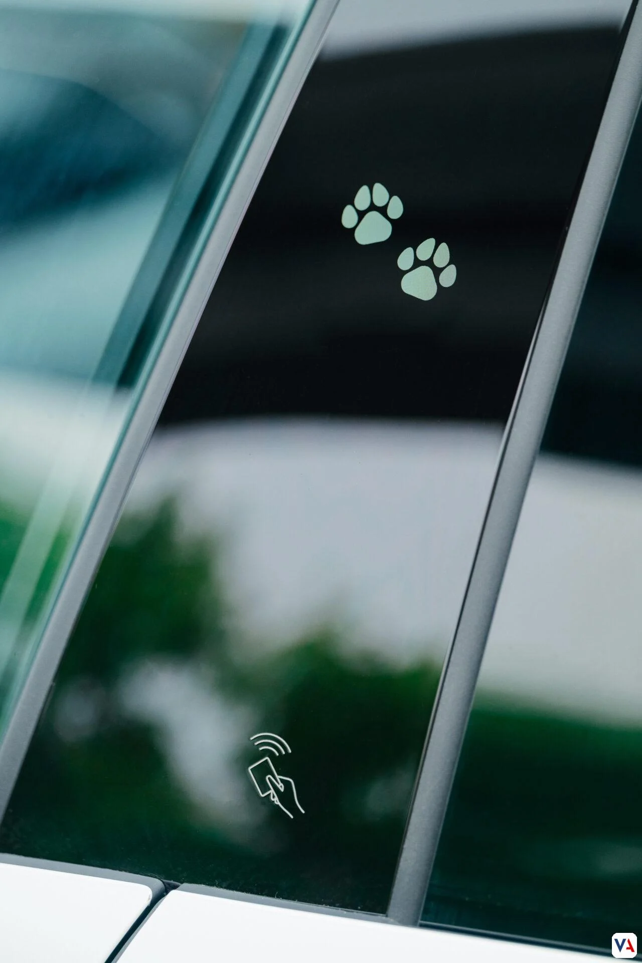 Modo Mascota en Vehículos: Un Análisis a Fondo de su Impacto en Colombia 5 Modo Mascota