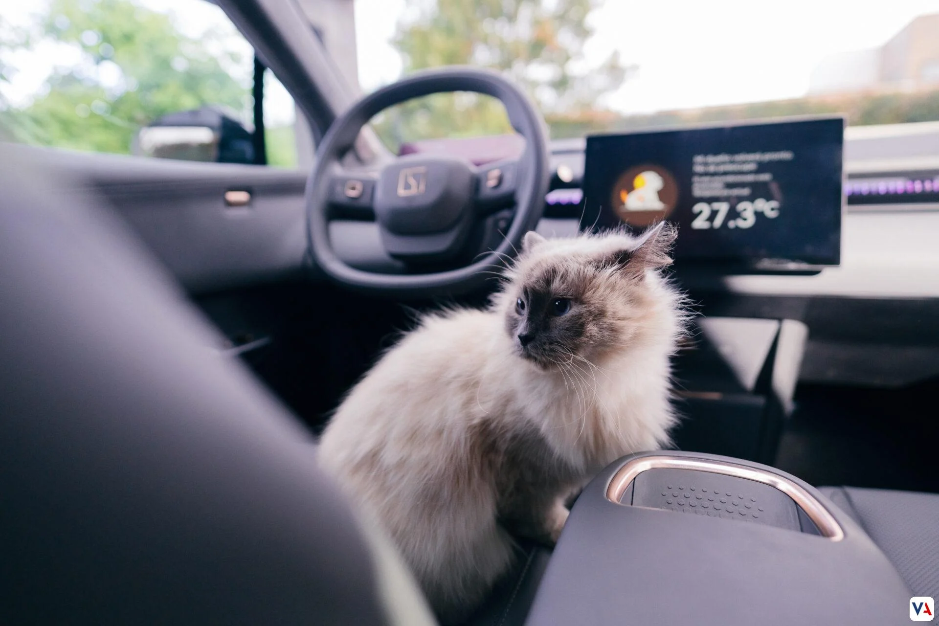 Modo Mascota en Vehículos: Un Análisis a Fondo de su Impacto en Colombia 4 Modo Mascota