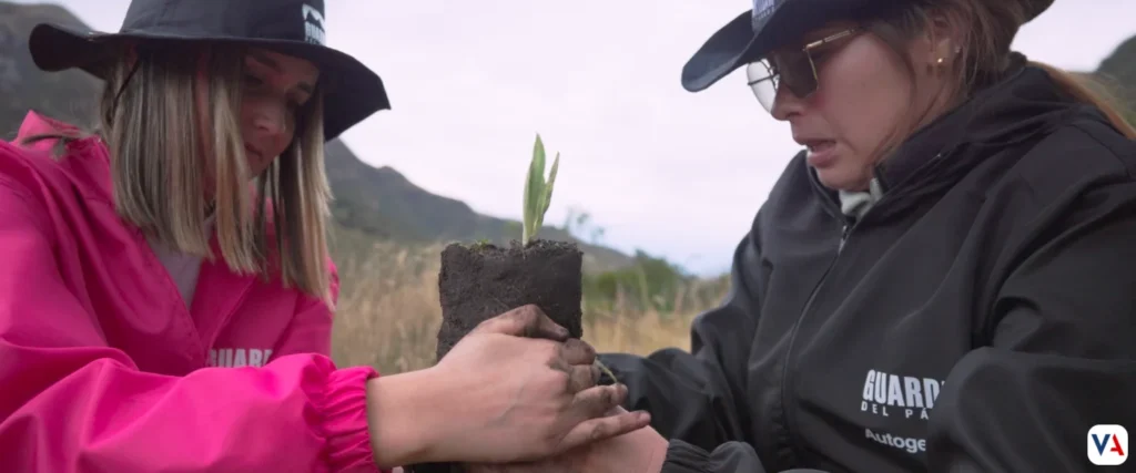 Marcas líderes se unen por los páramos colombianos: Una colaboración inédita 3 Marcas líderes se unen por los páramos colombianos: Una colaboración inédita -