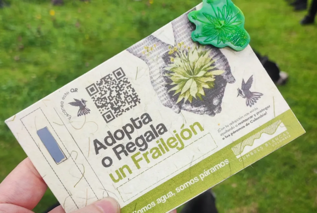 Motorysa, Mitsubishi, Cumbres blancas restauración