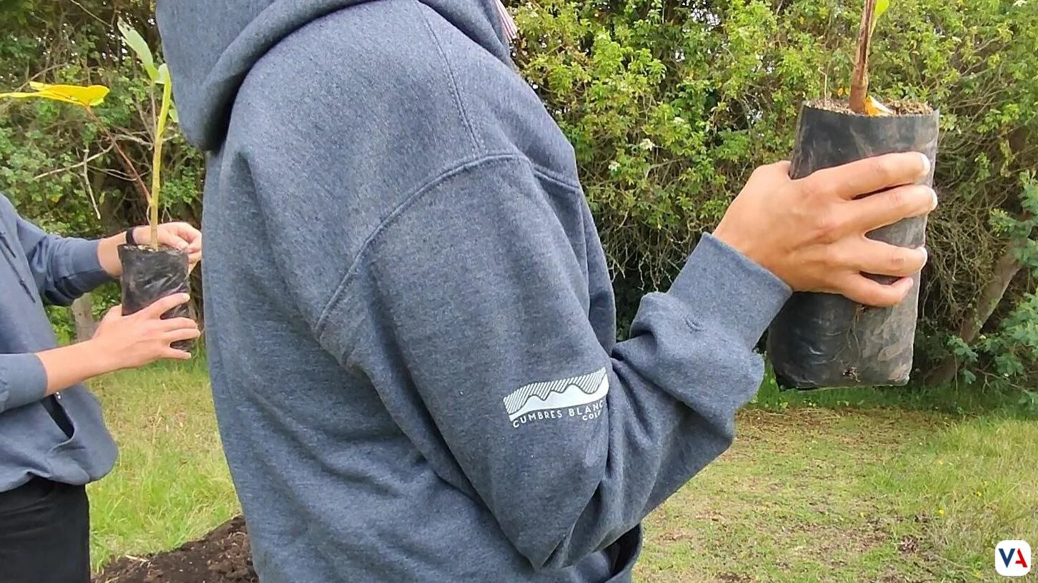 Motorysa, Mitsubishi, Cumbres blancas restauración