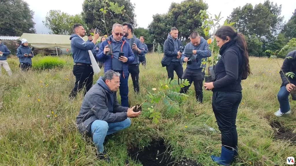 Motorysa, Mitsubishi, Cumbres blancas restauración