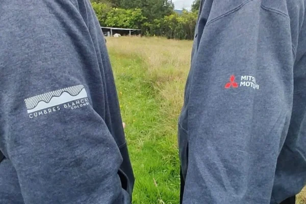 Motorysa, Mitsubishi, Cumbres blancas restauración