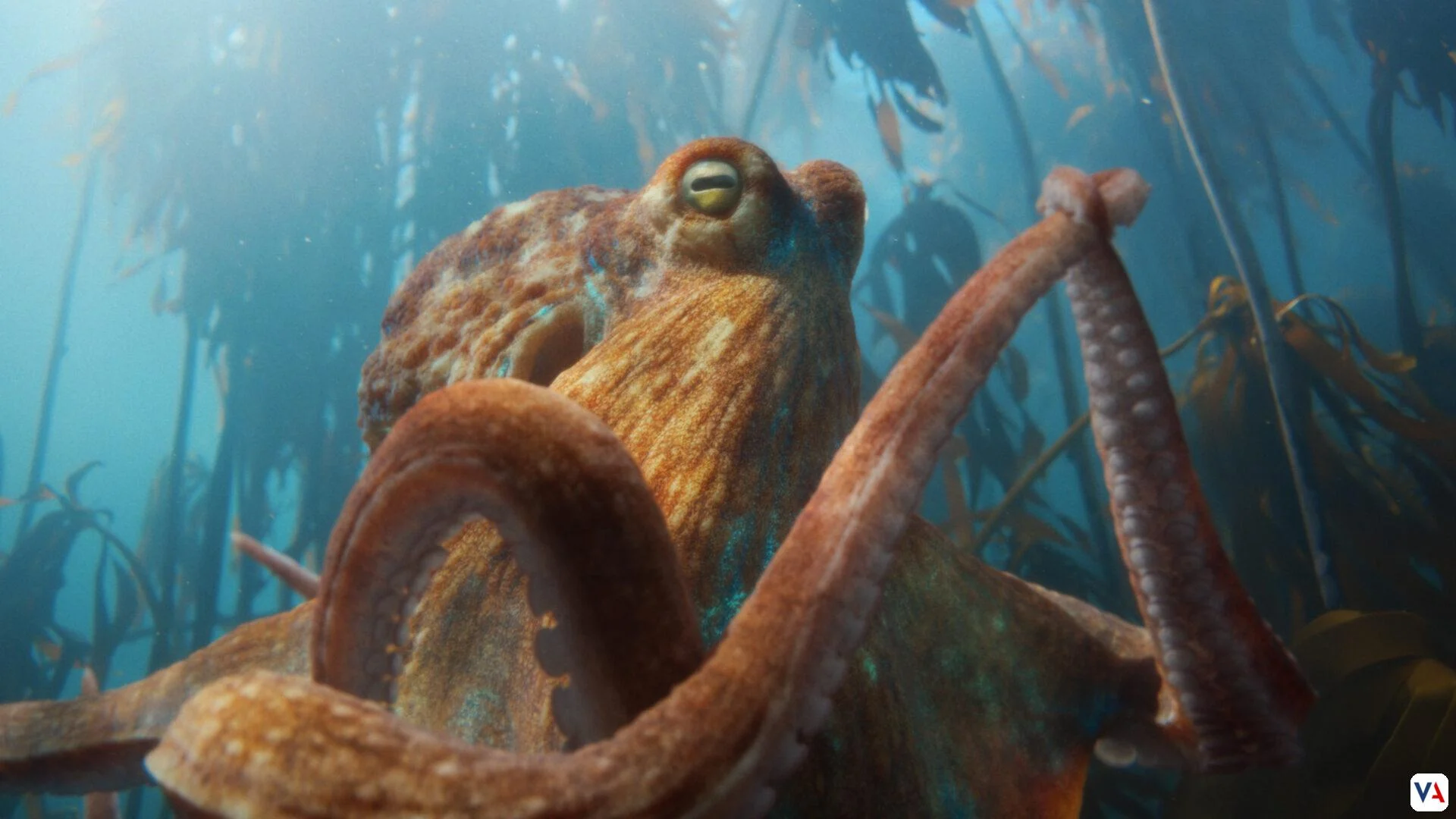 BMW Heart of Joy: el supercerebro que redefine la conducción 5 Heart of Joy