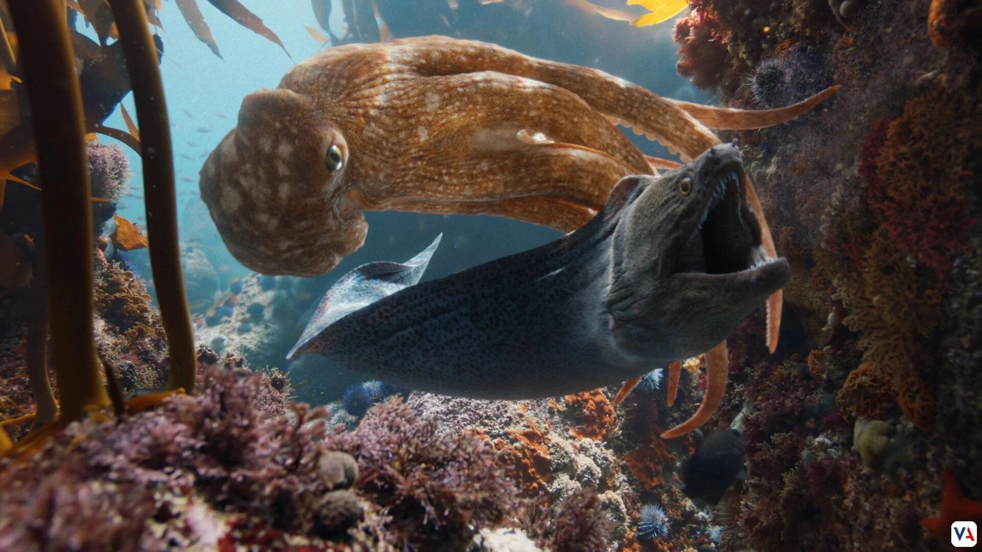 BMW Heart of Joy: el supercerebro que redefine la conducción 4 Heart of Joy