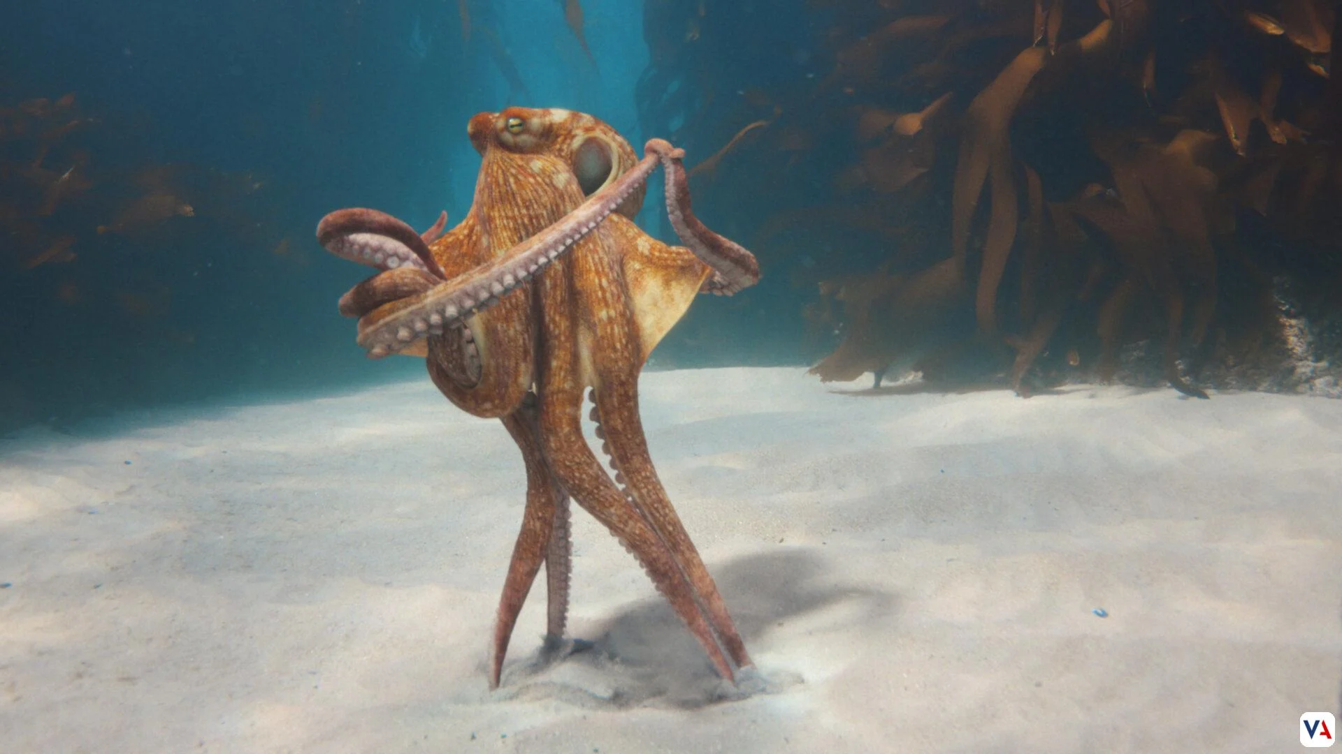 BMW Heart of Joy: el supercerebro que redefine la conducción 3 Heart of Joy