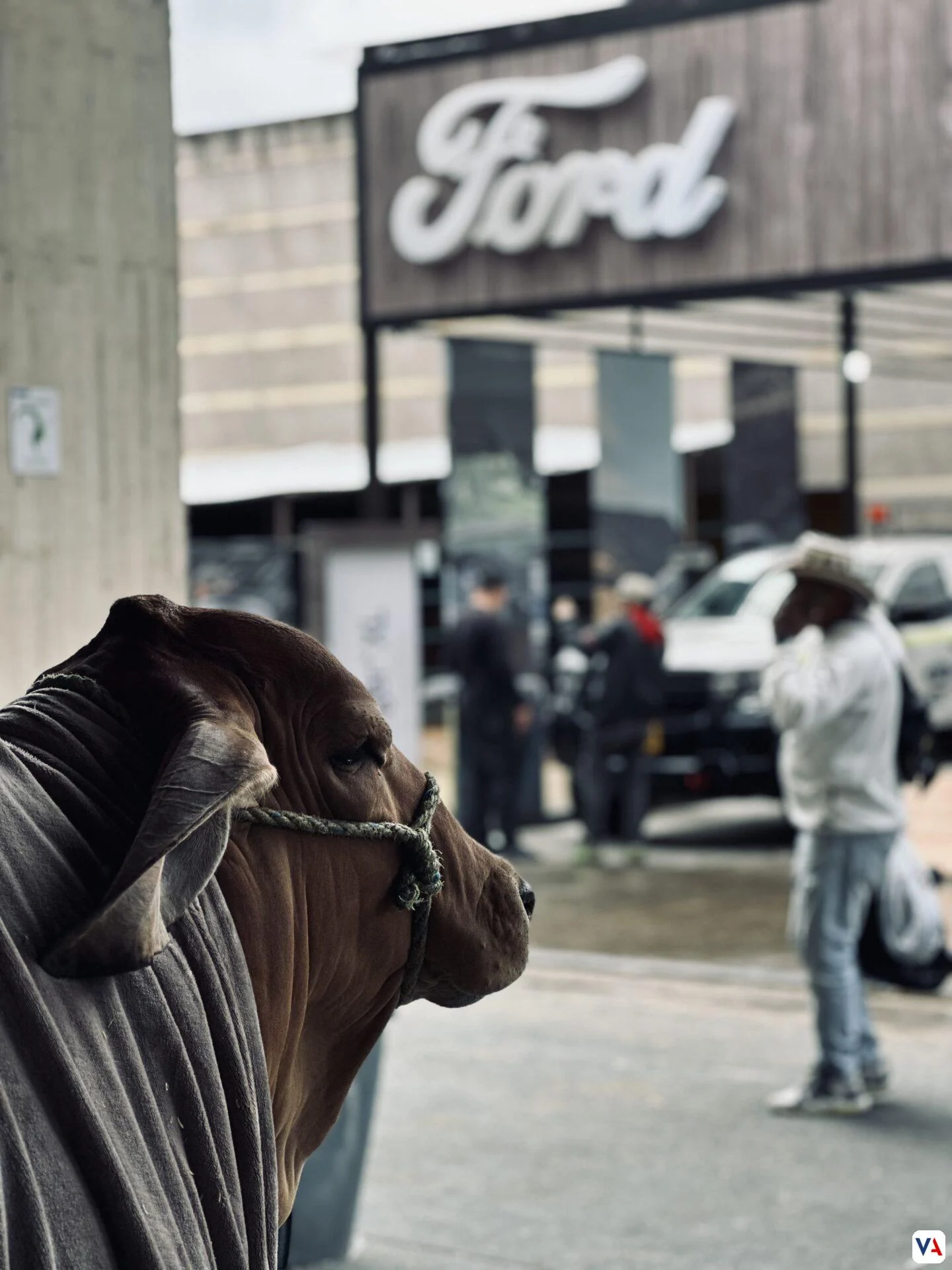 Ford Pro: una apuesta poderosa por el campo y el sector productivo colombiano 4 Ford Pro