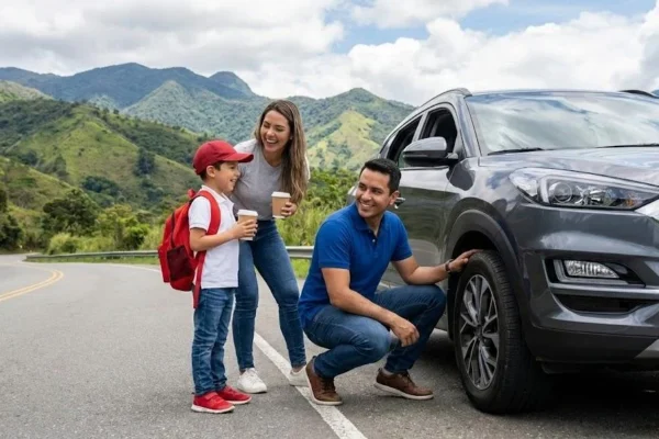 repuestos originales Nissan