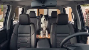 Descubre qué hace a un carro pet friendly ideal para viajar por Colombia con seguridad, confort y tecnología diseñada para tu mascota este 2026