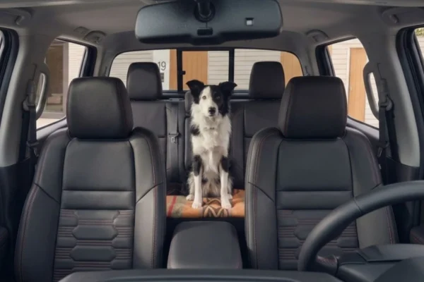 Descubre qué hace a un carro pet friendly ideal para viajar por Colombia con seguridad, confort y tecnología diseñada para tu mascota este 2026