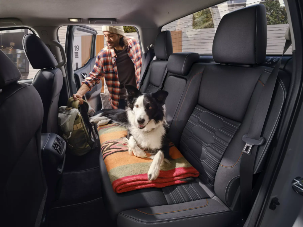 Descubre qué hace a un carro pet friendly ideal para viajar por Colombia con seguridad, confort y tecnología diseñada para tu mascota este 2026