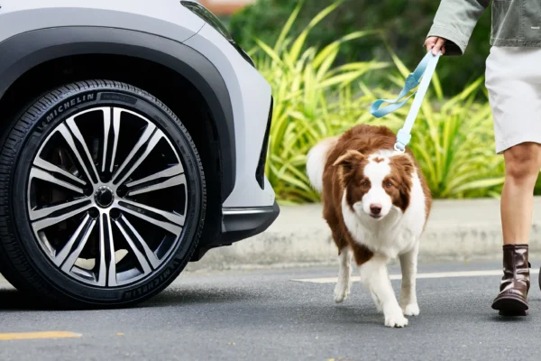 Descubre la nueva Michelin Primacy 5 en Colombia: una llanta con 18% más durabilidad y frenado superior en mojado. Conoce todos los detalles aquí.