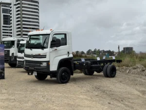 Volkswagen Delivery 11.180 4x4 Volkswagen