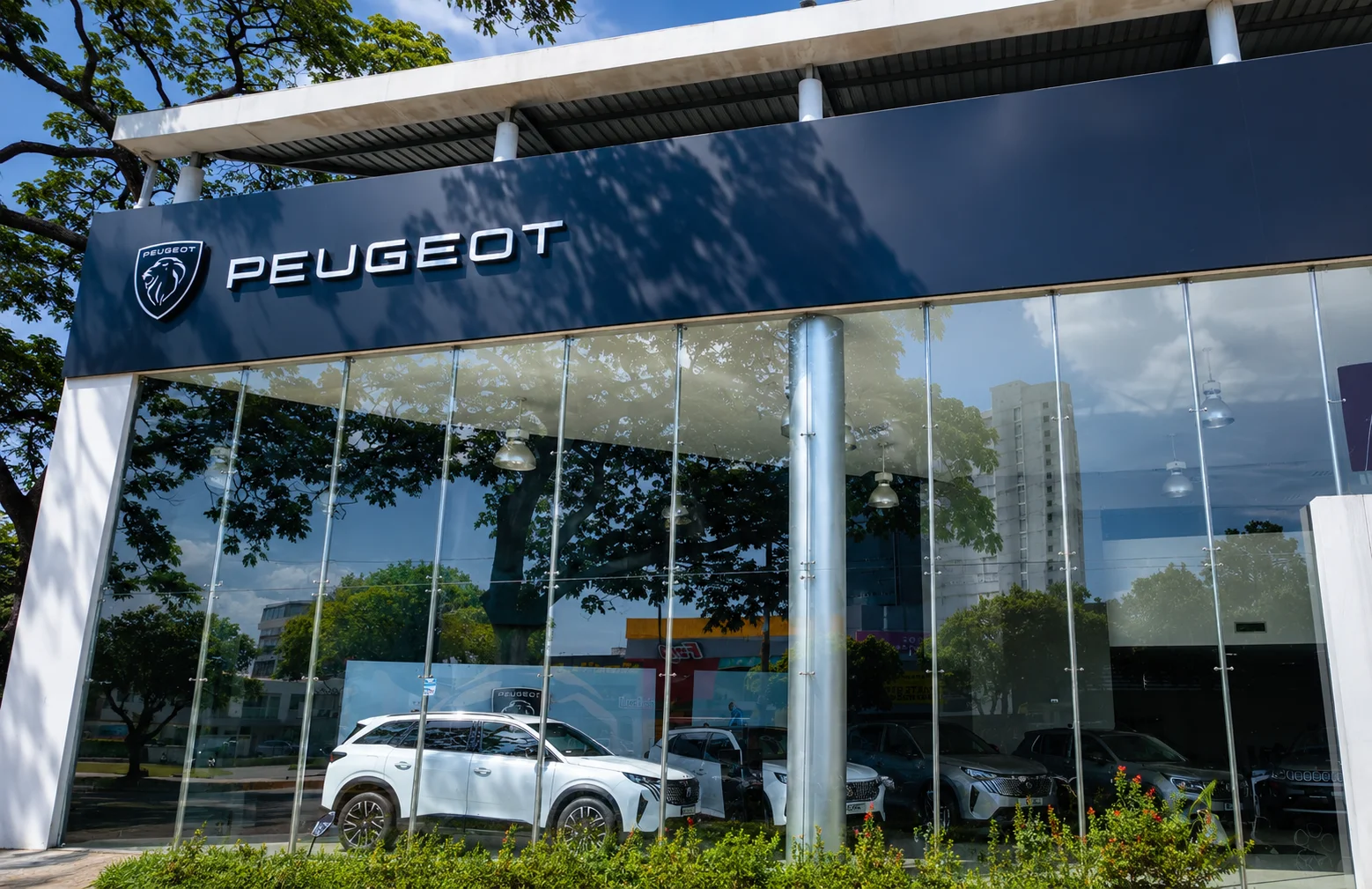 La expansión de Peugeot en Colombia suma nuevas vitrinas en Bogotá y Cúcuta para fortalecer su red de servicio. Conoce todos los detalles aquí.