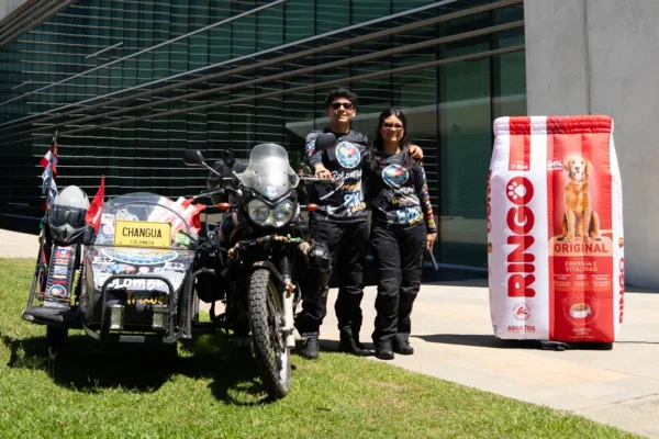 alianza de Yamaha y Ringo Yamaha