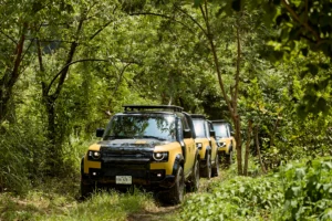 Defender Trophy 2026 Land Rover