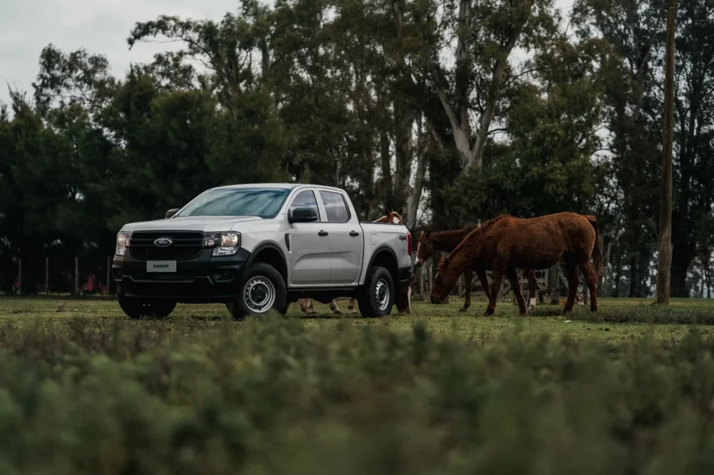 Monitoreo Preventivo de Ford Pro Ford