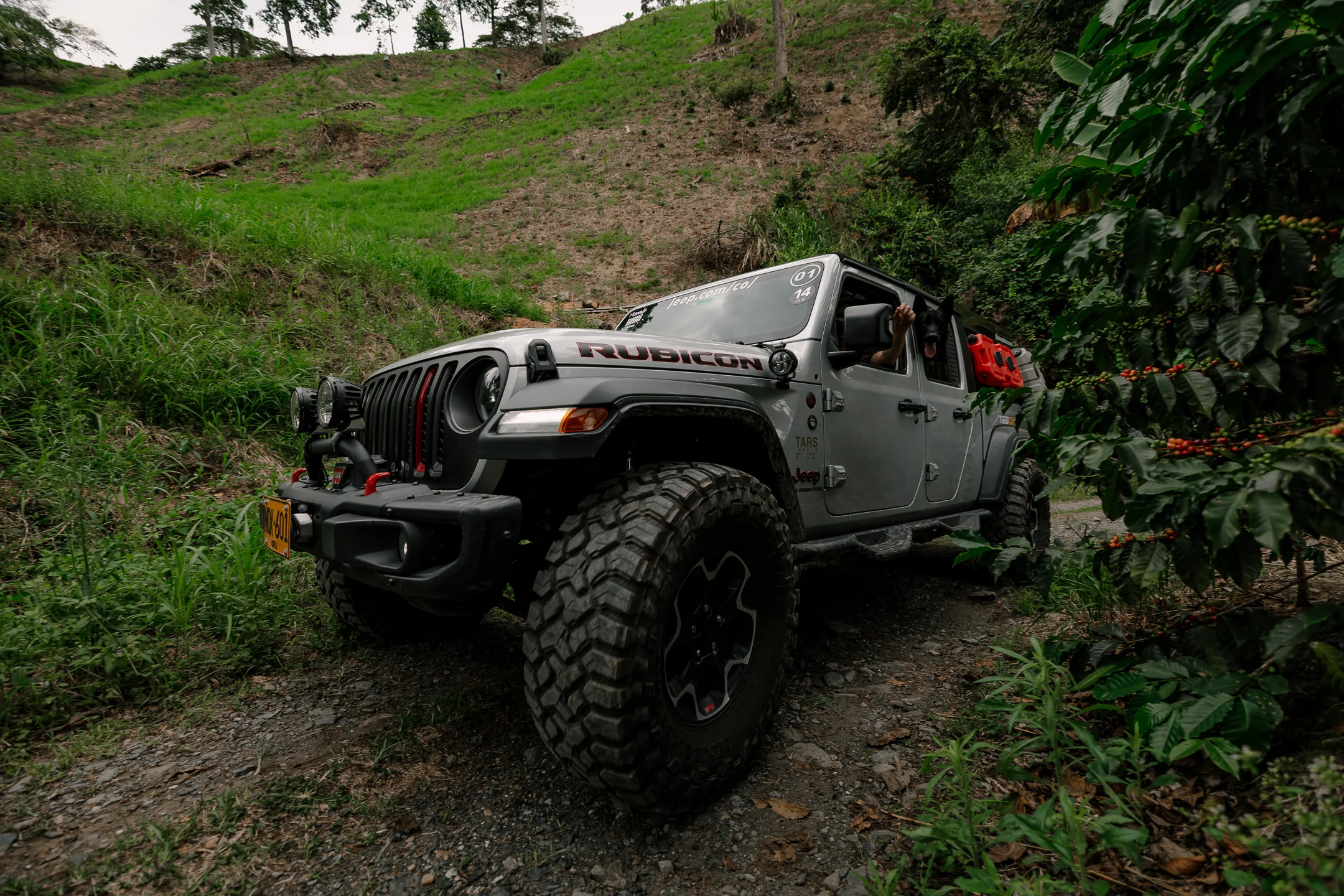 presencia de Fiat Jeep RAM: Jeep Rubicon plateado en camino rural con vegetación.