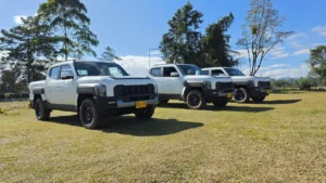 negocio corporativo de Kia: Tres camionetas Kia Tasman blancas en un campo.