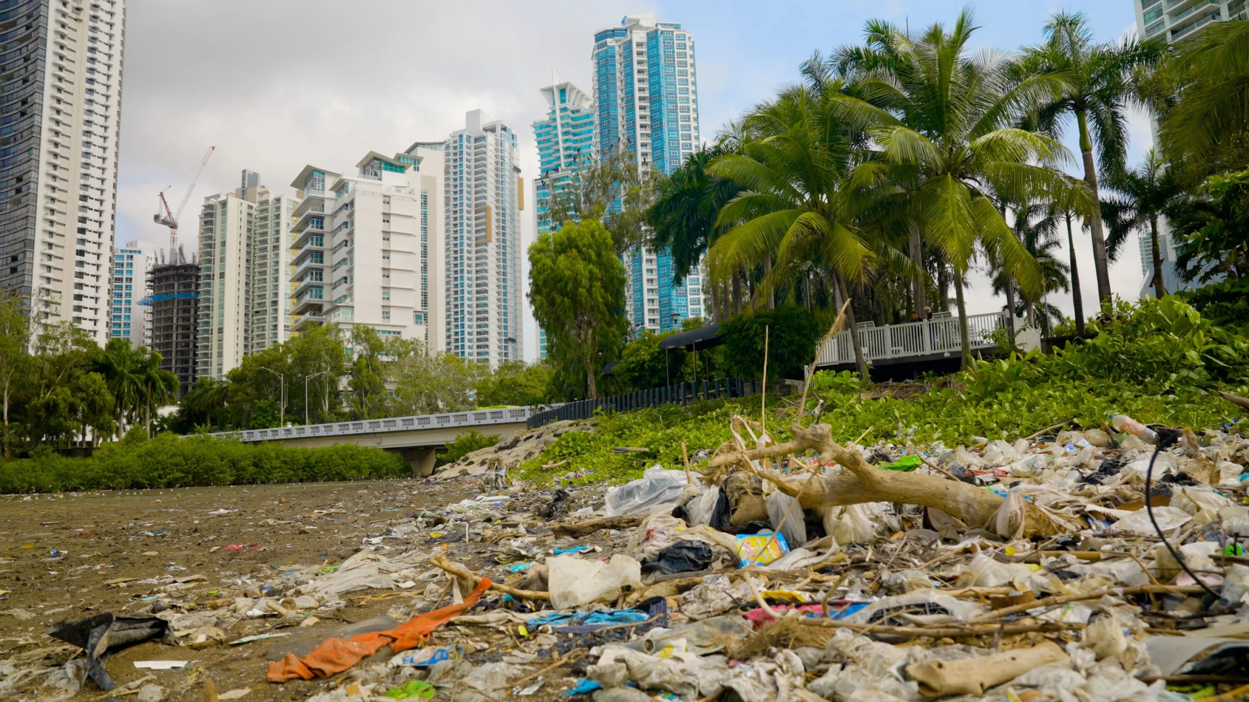 Kia The Ocean Cleanup: Contaminación plástica en la costa de Ciudad de Panamá.