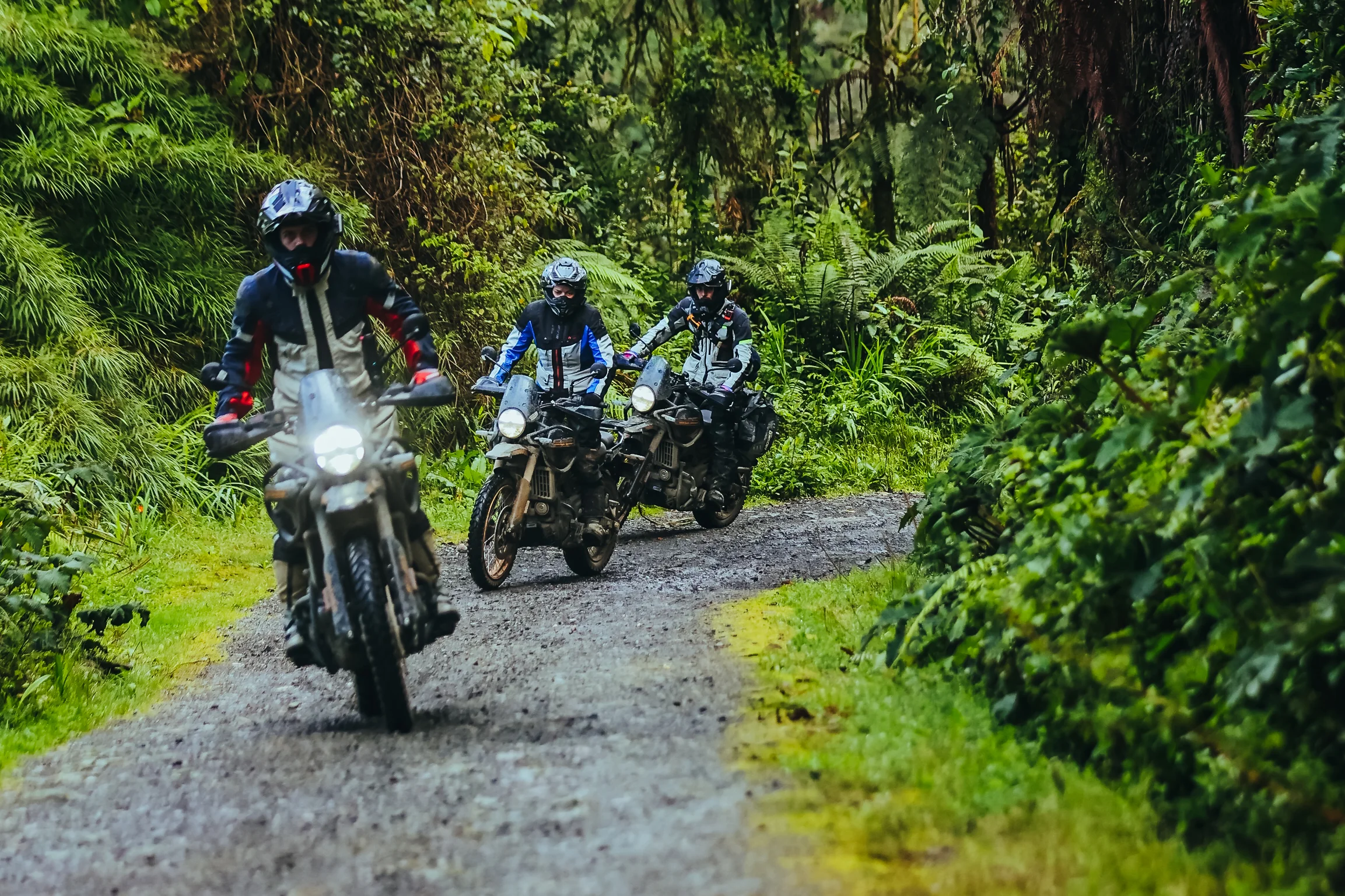 Royal Enfield Rentals & Tours: aventura sobre dos ruedas por Colombia y sus paisajes 7 Royal Enfield Rentals & Tours: Motociclistas Royal Enfield en camino selvático