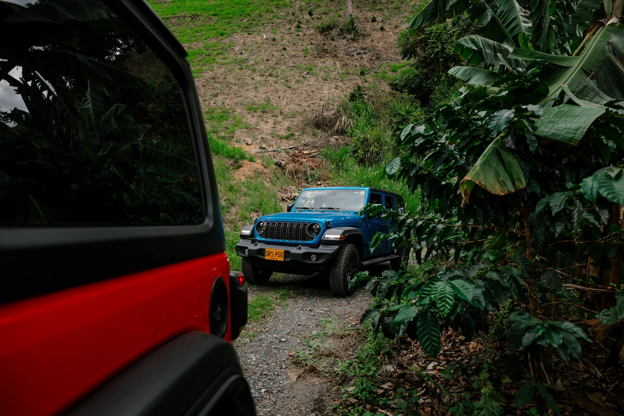 Jeep Avenger: Dos Jeep Wrangler en ruta off-road natural.